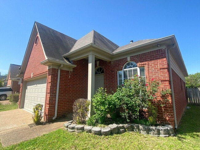 891 Dalemore Ln in Cordova, TN - Building Photo - Building Photo