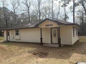 14525 Chapperal Pipeline Rd in Woodloch, TX - Building Photo
