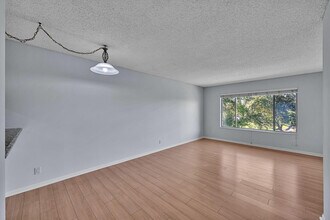 906 Twin Lakes Dr in Coral Springs, FL - Building Photo - Building Photo