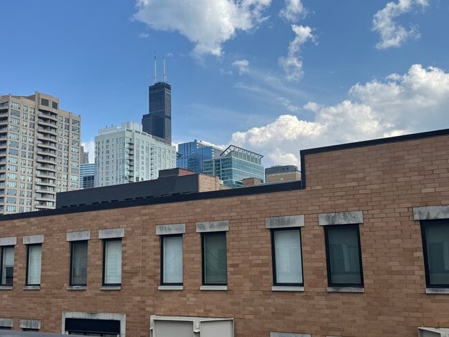 311 N Union Ave in Chicago, IL - Building Photo - Building Photo