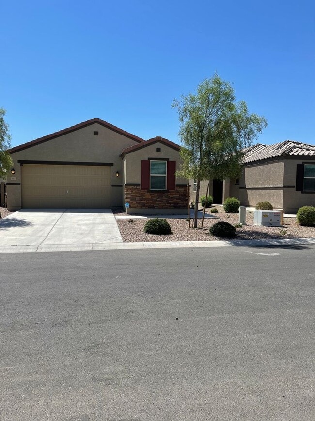983 Capulin Trl in San Tan Valley, AZ - Building Photo - Building Photo
