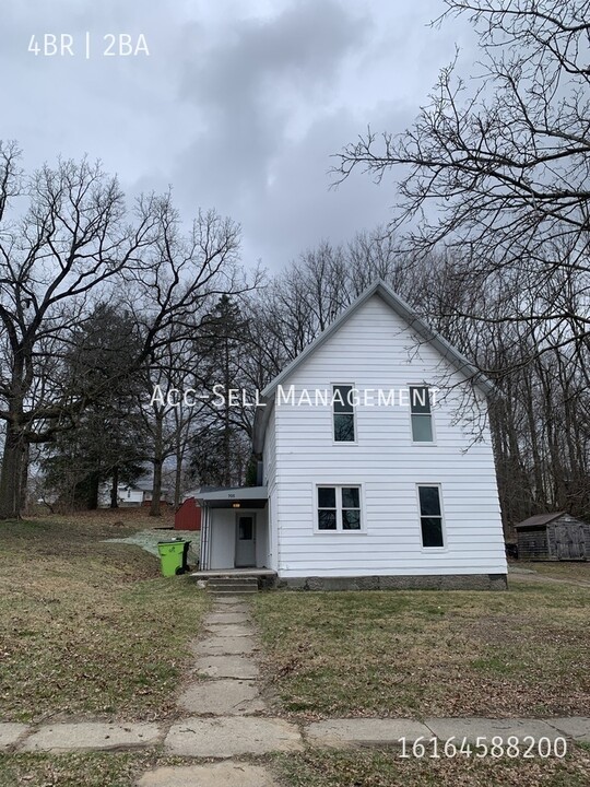 705 W Grove St in Greenville, MI - Building Photo