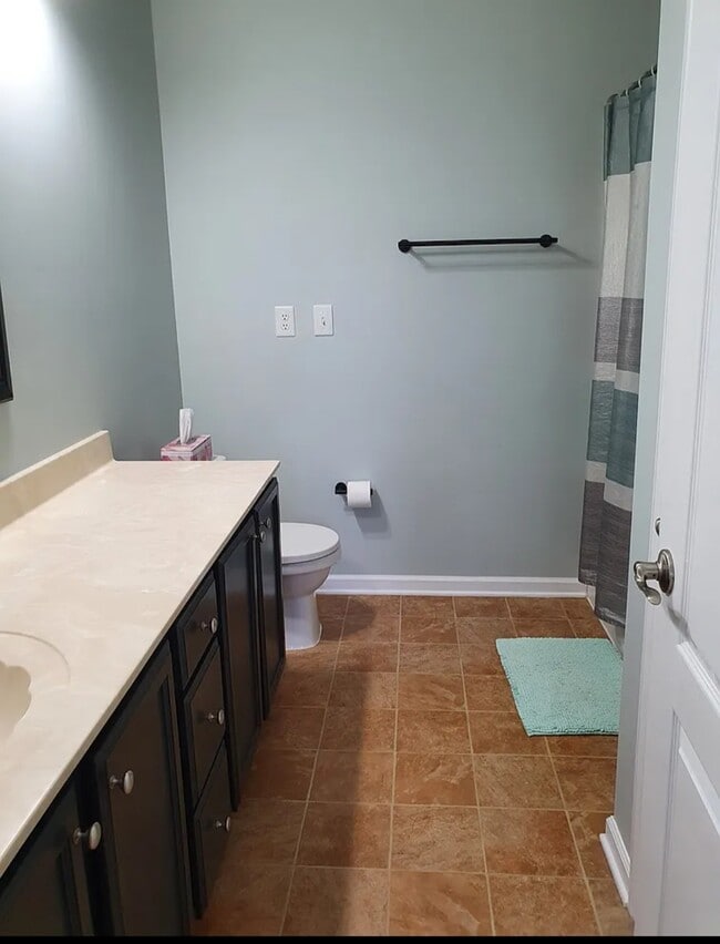 1509 Pucknall Dr in Chesapeake, VA - Building Photo - Building Photo