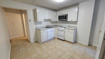 19 Green St, Unit 1 in Brookline, MA - Building Photo