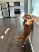 Lauren's Place in Marble Hill, MO - Foto de edificio - Building Photo