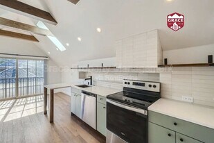 1308 1/2 S Grant St in Denver, CO - Building Photo