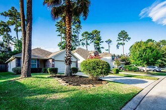 87 Hockenberry Pl in Conroe, TX - Building Photo - Building Photo