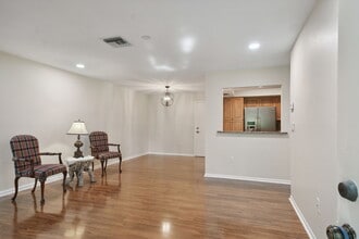 251 Hidden Brook Dr, Unit 251 Hidden Brook Dr in Palm Harbor, FL - Building Photo - Building Photo