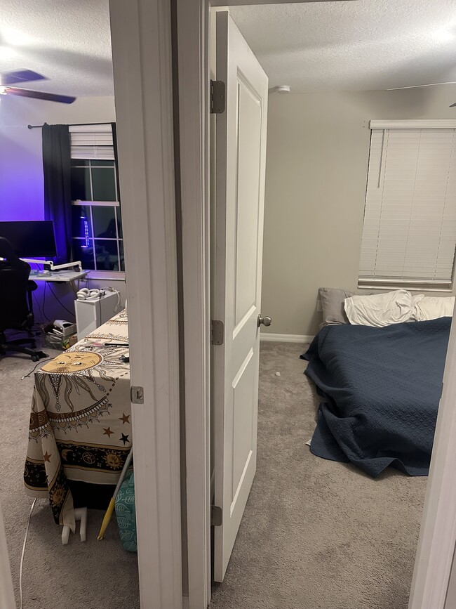 16504 Delia St in Wimauma, FL - Building Photo - Building Photo