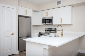 Mistletoe Manor in San Antonio, TX - Building Photo - Building Photo