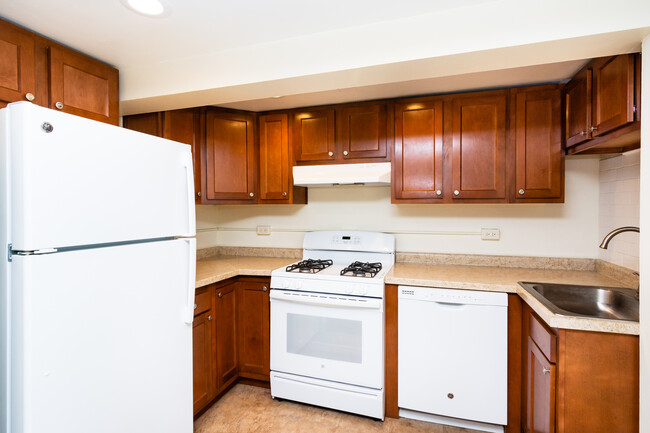 832 Washington Blvd. in Oak Park, IL - Building Photo - Building Photo