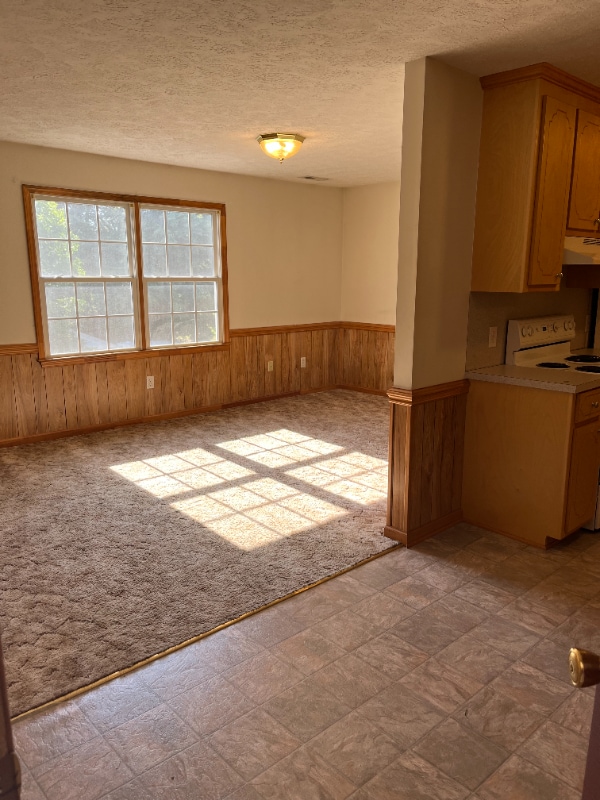 225 Ripley Dr in Danville, VA - Building Photo - Building Photo
