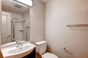 1520 S Albion in Denver, CO - Building Photo