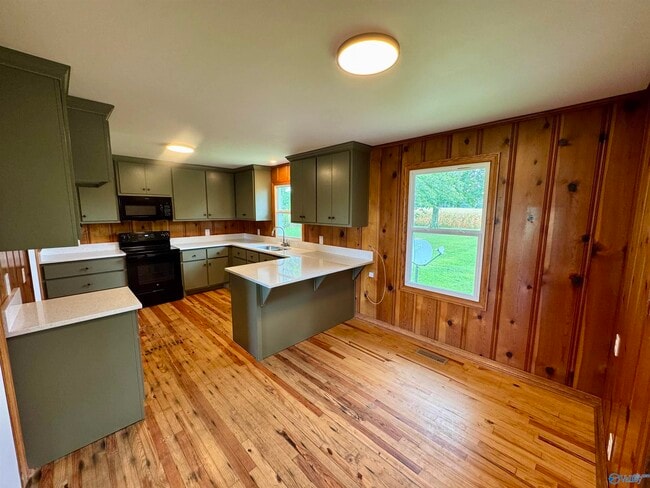 28102 Salem Minor Hill Rd in Lester, AL - Building Photo - Building Photo