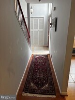 11162 Forest Edge Dr in Reston, VA - Building Photo
