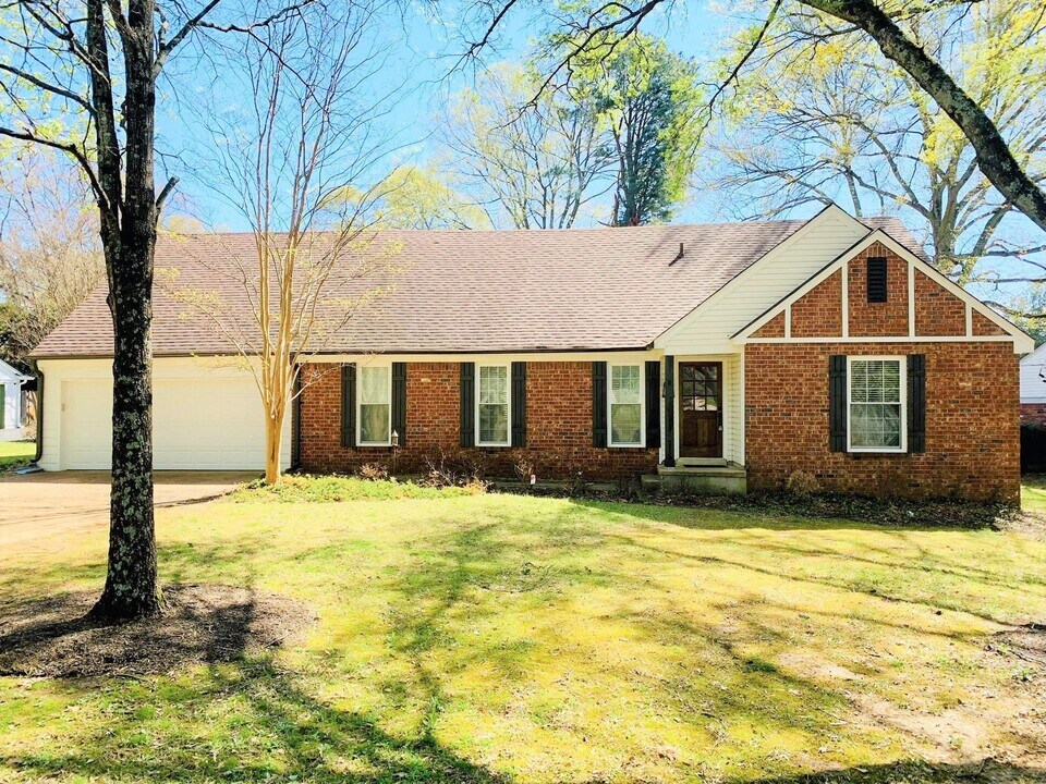 7207 Poplar Pike in Germantown, TN - Building Photo
