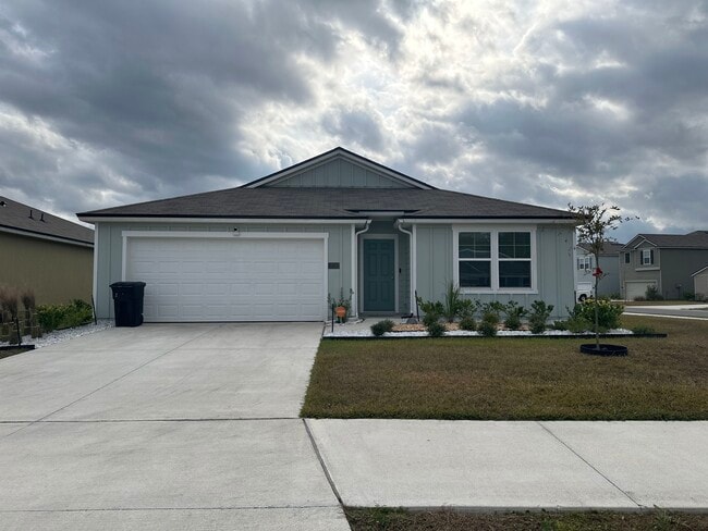 12792 Cacao Tree Trl