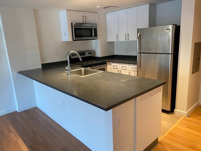 295 Harvard St in Cambridge, MA - Building Photo - Building Photo