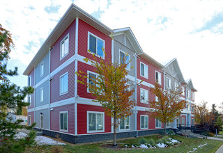 10141 153rd St NW in Edmonton, AB - Building Photo - Building Photo