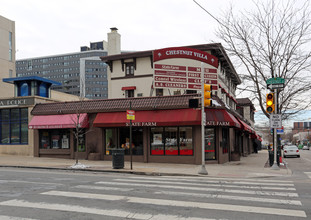 Chestnut Villa in Philadelphia, PA - Building Photo - Building Photo