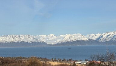 41385 Ptarmigan Heights Dr in Homer, AK - Foto de edificio - Building Photo