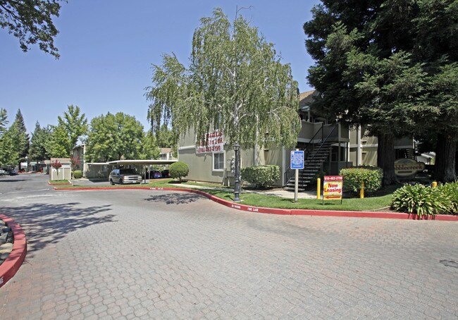 Cobble Creek Apartments in Carmichael, CA - Building Photo - Building Photo