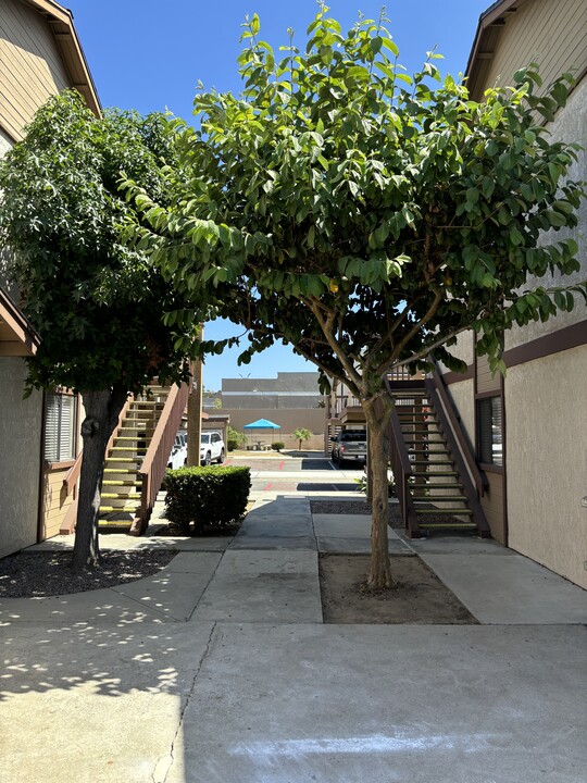 The Palms in San Marcos, CA - Foto de edificio