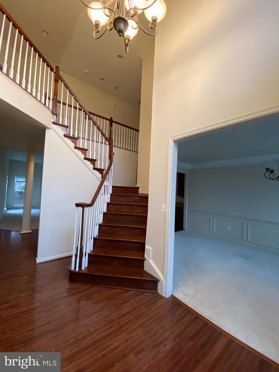 12098 Paper Birch Ln in Gainesville, VA - Building Photo - Building Photo