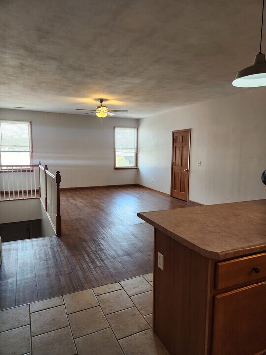 119 N Main St, Unit 119 N Main St in Columbia, IL - Building Photo
