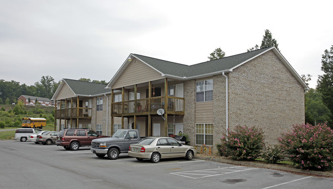 150 Murrell Meadows Dr in Sevierville, TN - Foto de edificio - Building Photo