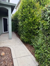 23 Morning Rose Way, Unit 1 in Chico, CA - Building Photo - Building Photo