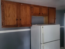 164 E 119th Pl in Chicago, IL - Building Photo