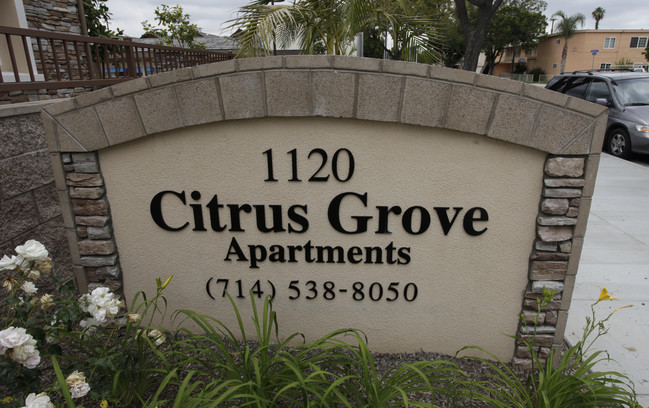 Citrus Grove Apartments in Orange, CA - Building Photo - Building Photo