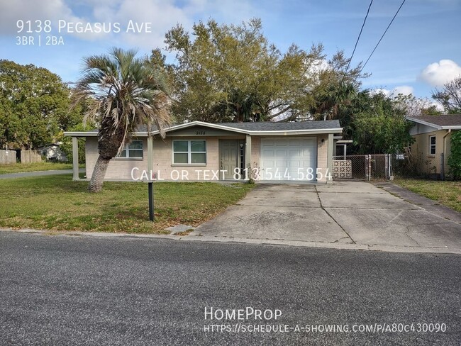 9138 Pegasus Ave in Port Richey, FL - Building Photo - Building Photo