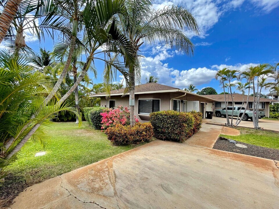 165 Keonekai Rd in Kihei, HI - Building Photo