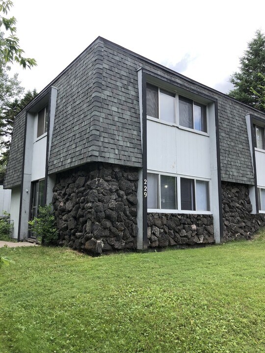 229 S 21st Ave E in Duluth, MN - Building Photo