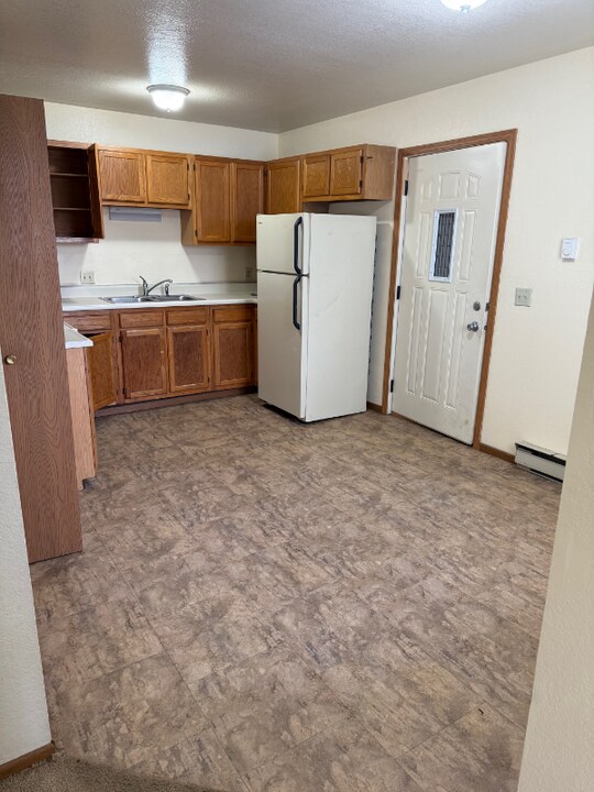 301 W Michigan St in Mt. Pleasant, MI - Building Photo