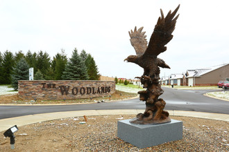 The Woodlands in Flint, MI - Building Photo - Building Photo