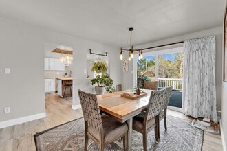 4945 Brown Valley Ln in Colorado Springs, CO - Building Photo - Building Photo