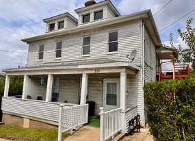 313 5th St in Glassport, PA - Building Photo