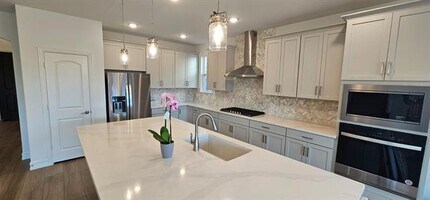 309 Breeds Hl Rd in Little Elm, TX - Building Photo - Building Photo