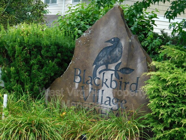 property at 198 Blackbird Village Cir