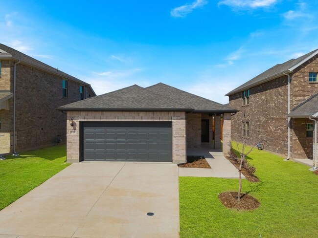 818 Honeydew Ln in McKinney, TX - Building Photo - Building Photo