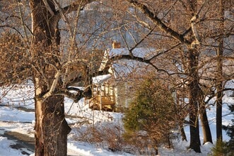 245 Goodwin Creek Trail in Afton, VA - Building Photo - Building Photo