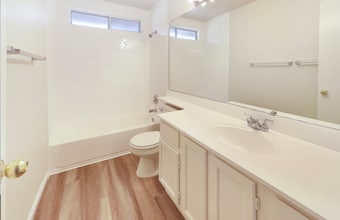 249 Delta Leaf Way in Sacramento, CA - Building Photo - Building Photo