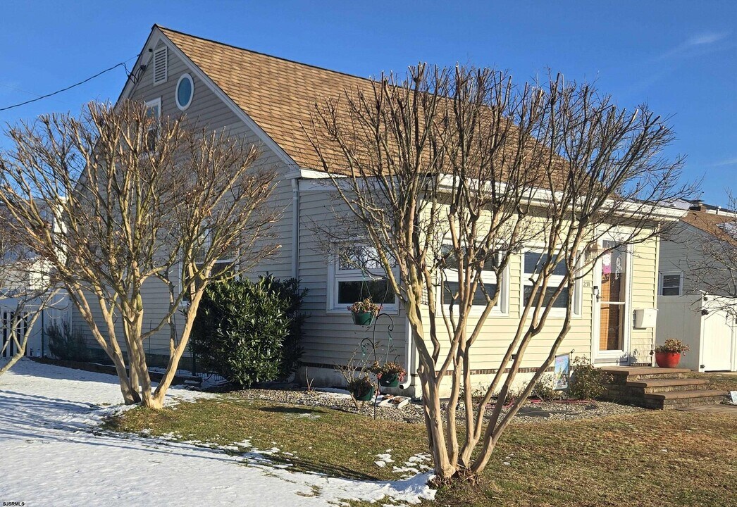 231 N Wyoming Ave in Ventnor City, NJ - Building Photo