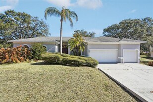 918 Academy Dr in Brandon, FL - Building Photo