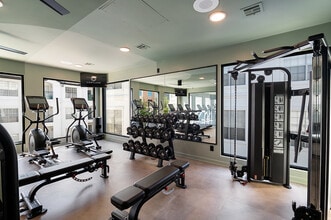 Cortland River Oaks in Houston, TX - Building Photo - Building Photo