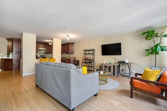 201 E Chestnut St in Chicago, IL - Building Photo - Building Photo