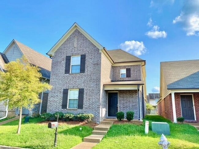 7937 Carmen Cove in Memphis, TN - Building Photo - Building Photo
